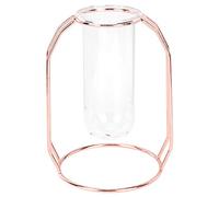 Cloimei Florero de Vidrio hidropónico, Maceta Transparente con Soporte de Metal, decoración Moderna del hogar para Plantas de Interior, decoración de Mesa, Oro Rosa, 4,3x6,1 pulgad (Oro Rosa)