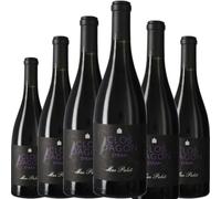 Clos d'Agon Selección Syrah Mas Palet tinto crianza con intensidad y carácter, vino español con cuerpo ideal para maridar con platos sabrosos y especiados. | 6 botellas