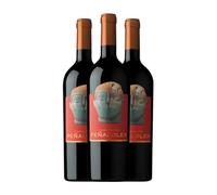 Clos Quebrada de Macul Peñalolén Carmenère Valle del Maipo 75 cl Vino tinto (Caja de 3 Botellas de 75 cl)