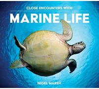 Close Encounters with Marine Life