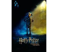 Close Up Harry Potter and the Chamber of Sectrets Poster | Dobby Motiv | Die Kammer des Schreckens Poster | 61x91,5 cm