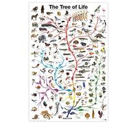 Close Up Póster impresión artística The Tree of Life El arból de la Vida (61cm x 91,5cm) + 1 Paquete de tesa Powerstrips® (20 Tiras)