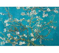 Close Up Póster Vincent Van Gogh - Árbol de Almendra Floreciente [1890] (91,5cm x 61cm) + 1 Paquete de tesa Powerstrips® (20 Tiras)