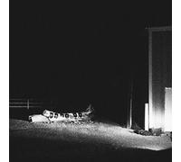 Cloud Nothings - Last Building Burning [Vinilo]