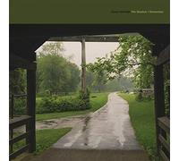 Cloud Nothings - The Shadow I Remember [Vinilo]