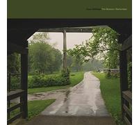 Cloud Nothings - The Shadow I Remember [VINYL] [Vinilo]