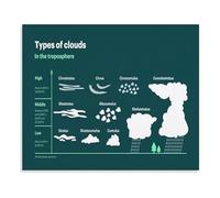 Cloud Types Science Poster Troposphere Clouds Meteorology Educational Guide Canvas Wall Art for Home Schooling(Framed,08x12inch(20x30cm))