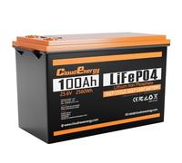 CloudEnergy LiFePO4 batería 24V 100Ah, MAX. 2560W Potencia 100A BMS batería de Litio, 6000+ ciclos de Vida, 10 años de Vida útil, Ideal para Marina, Solar y autocaravanas