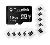 Cloudisk Paquete con 10 tarjetas Micro SD (16 GB)
