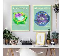 CloudShang Animal Planta Célula Biología Decoracion Impresión Ciencia Educativo Pared Arte Salon Pintura Moderno Laboratorio Oficina Poster Cuadro I27102
