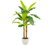 Clove, Planta Artificial Grande, Platanera 160 cm con Tronco Real y Natural - Decorativas, Árbol, Decoración para Interior, Oficina, Hogar, Hoteles y Eventos - Hojas Moldenables, Planta Realista