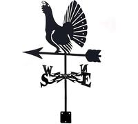 CLSDRHX Weatherervane para el jardín, Veleta con Montura Techo indicador dirección del Viento la meteorología, Clima Retro de Metal meteorológico