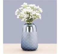CLSDRZC Flower Vase Light Luxury Creative Scallop Pattern Glass Home Furnishings Living Room Table Dry Flower Arrangement Decoration Decoration Vase(Large)
