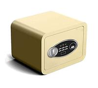 CLSDRZC Gabinete de Claves con contraseña electrónica de Huellas Dactilares a Prueba de Fuego a Prueba de Agua con de Alarma de partición - Efectivo - LOR -35X25X25cm para Oficina en casa (Oro