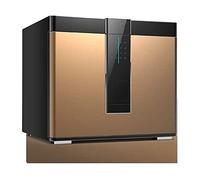 CLSDRZC, Gabinetes Impermeables de Fuego, Small S para el hogar del hogar, el hogar electrónico del hogar con la Oficina de contraseña de Sigilo antirrobo del hogar Mediano