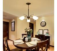 CLSDRZC Indoor Light Wrought Iron Garden Style Chandelier Bedroom Dining Room Living Room Lamp Illumination,A-3 Heads