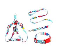 CLSSLVVBN 3 unids/Set Collar de Mascota Hebilla de Correa de impresión Ajustable Mediano Grande arnés para Caminar al Aire Libre Reutilizable Lavable Personalizado, Azul, 1.5x120cm, Metro