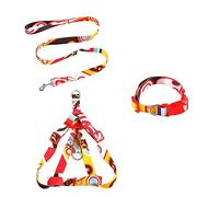 CLSSLVVBN 3 unids/Set Collar de Mascota Hebilla de Correa de impresión Ajustable Mediano Grande arnés para Caminar al Aire Libre Reutilizable Lavable Personalizado, Rojo, 2x120cm, Largo
