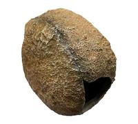 CLSSLVVBN Cueva de Roca para acuarios con imitación de Rocas Naturales, Ideal para un Acogedor Refugio Submarino. mitades Resina se unen fácilmente Mediante un imán Incorporado.