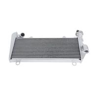 CLWYWUL refrigeración del Motor Compatible con Ducati para Panigale 899 959 1199 1299 Enfriador De Tanque De Agua De Motocicleta Enfriador De Radiador Superior Tanque De Radiador De Motocicleta