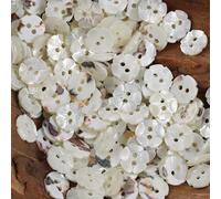 CLYDSA 100 botones de nácar de 11,5 mm, 2 agujeros, botones de concha en forma de flor para camisas, vestidos, accesorios de costura