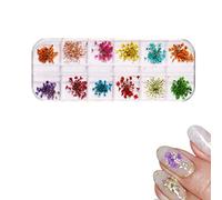 Clyhon 1 Caja Flor Secada de Uñas, Flor Secada Real Del Arte Del Clavo 3D Apliques de Uñas Piezas de Uñas Decoración de Arte de Uñas de Manicura de Flores Preservadas