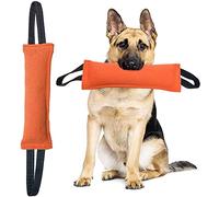 Clysrou Juguete para perros (color naranja)