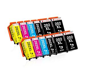 Clywenss 202 cartuchos de impresora XL compatibles con Epson 202XL Multipack Cartuchos para Expression Premium XP-6000 XP-6100 XP-6105 XP-6005 XP6000 XP6100 XP6105 XP6005 XP6001 (4BK, 2PBK, 2C, 2M,