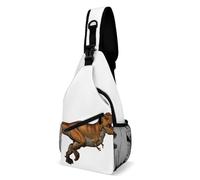 Cmagnifico Bolsa cruzada, bolsa de pecho de gato negra, bolsa bandolera para viajes, compras, deportes, Dinosaurios caminantes, 38x20cm