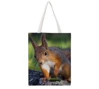 Cmagnifico Bolsa de lona para mujer, diseño de mariposas, color rosa brillante, para el trabajo, uso diario, Linda ardilla, 38x46cm