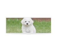 Cmagnifico Estuche para lápices, caja de papelería simple Bichon Frise DogCreative de 19,5 x 6,8 x 3 cm, Estilo:, Talla única, Estuche para lápices