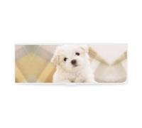 Cmagnifico Estuche para lápices, diseño de perro maltés, caja de papelería simple, 19,5 x 6,8 x 3 cm, Estilo:, Talla única, Estuche para lápices