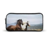 Cmagnifico Estuche para lápices, notas clave de piano, bolsa de papelería, bolsa de viaje de negocios o caja de herramientas pequeña, bolsa de maquillaje para niñas, caballo, 22*12*5cm, Estuche para