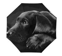 Cmagnifico Paraguas plegable, paraguas de arte de cachorro labrador negro, paraguas de viaje resistente al viento y a la lluvia, Arte de cachorro labrador negro, Manual