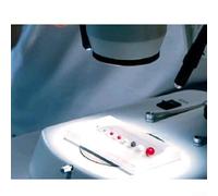 CMM Stylus A50009761 - Lápiz capacitivo con rosca de bola de 5 0 mm y cuerpo de cerámica de 100 mm de longitud, para procesos de EDM
