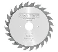 CMT Orange Tools 289.120.24H - Sierra incisora 120x2.8-3.6x20 z 12+12 plano