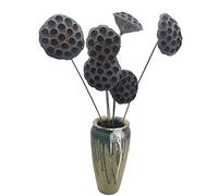 cn-Knight 6 cápsulas de loto seco natural con tallos largos artificiales de 26 pulgadas para arreglos florales, ramo de novia, decoración del hogar, corona, centro de mesa, artesanía (diámetro de las
