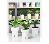 CNANRNANC Maceta de plástico con riego automático para uso doméstico con un depósito que extiende el tiempo entre el riego manual para plantas de interior (gris)