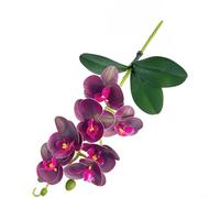 CNANRNANC Orquídea Phalaenopsis artificial impresa en 3D en un tallo que muestra 7 flores distintas y 3 hojas botánicamente precisas para uso decorativo (cejas moradas)