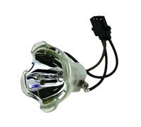 CNJWBGCJ 1 Uds. Lámpara desnuda for proyector Adecuado para Infocus for SP-LAMP-038 IN5102 IN5106 IN5104/IN5108/IN5110/para ASK C500 piezas de repuesto