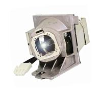 CNJWBGCJ Accesorios de repuesto de lámpara de proyección aptos for Viewsonic RLC-109 PA503W PG603W PS501W PS600W VS16973 VS16907 piezas de repuesto(RLC-109-CBH)