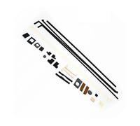 CNJWBGCJ Set de Sello desarrollador de Tambor Compatible con Ricoh MPC3503 4503 3003 5503 6003, Unidad de Desarrollo, Almohadilla de Esponja de Sellado, Bloque en Polvo