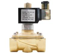 CNOYVZOXZ Válvula Solenoide Normalmente Abierta de latón, G3/8" a G2, Sello NBR EPDM VITON, AC220V DC12V 24V, válvula Agua Resistente a Altas temperaturas IP65(DC 12V-VITON)