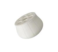 Cnrfeoap Maceta hidropónica para un cultivo seguro de cebolla sin tierra en cocinas con un cuidado mínimo necesario de fácil cuidado hidropónico