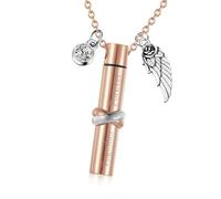 Cnrfeoap Simple Wing - Urna conmemorativa para cenizas de cremación, caja de metal, collar, urna para cenizas, contenedor de memoria para mascotas