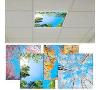 CNSJ 4 cubiertas de luz fluorescente para luces de techo de 2 x 2 pies, magnéticas, para primavera, verano, otoño e invierno, reduce el deslumbramiento duro, filtros parpadeantes para aula, oficina