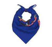 CNTDBU Bufanda cuadrada de satén con la bandera de Dakota del Norte, 22 x 22 pulgadas, bandana suave para mujeres y hombres, bufanda ligera para el cuello para viajes