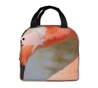 CNTDBU Flamingo Close-up - Lonchera térmica térmica con forro de aluminio, lonchera impermeable para el trabajo