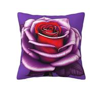 CNTDBU Funda de cojín de felpa de doble cara con cremallera oculta, funda de almohada cuadrada suave y acogedora con cremallera oculta, funda de almohada decorativa para cama, sofá o coche