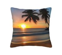 CNTDBU Funda de cojín de felpa de doble cara con cremallera oculta, funda de almohada cuadrada suave y acogedora con cremallera oculta, funda de almohada decorativa para cama, sofá o coche